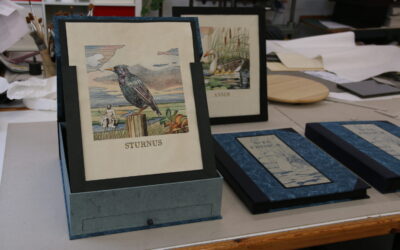 Gerard Heerkens: scoundrel and cosmopolitan from Groningen in the eighteenth century