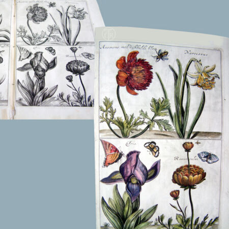 Inkleuren