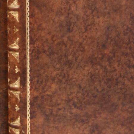 Het leer is op kleur gebracht en met handvergulding met bladgoud