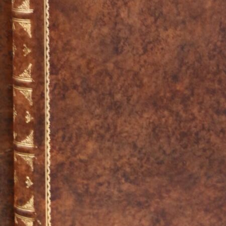 Het leer is op kleur gebracht en met handvergulding met bladgoud